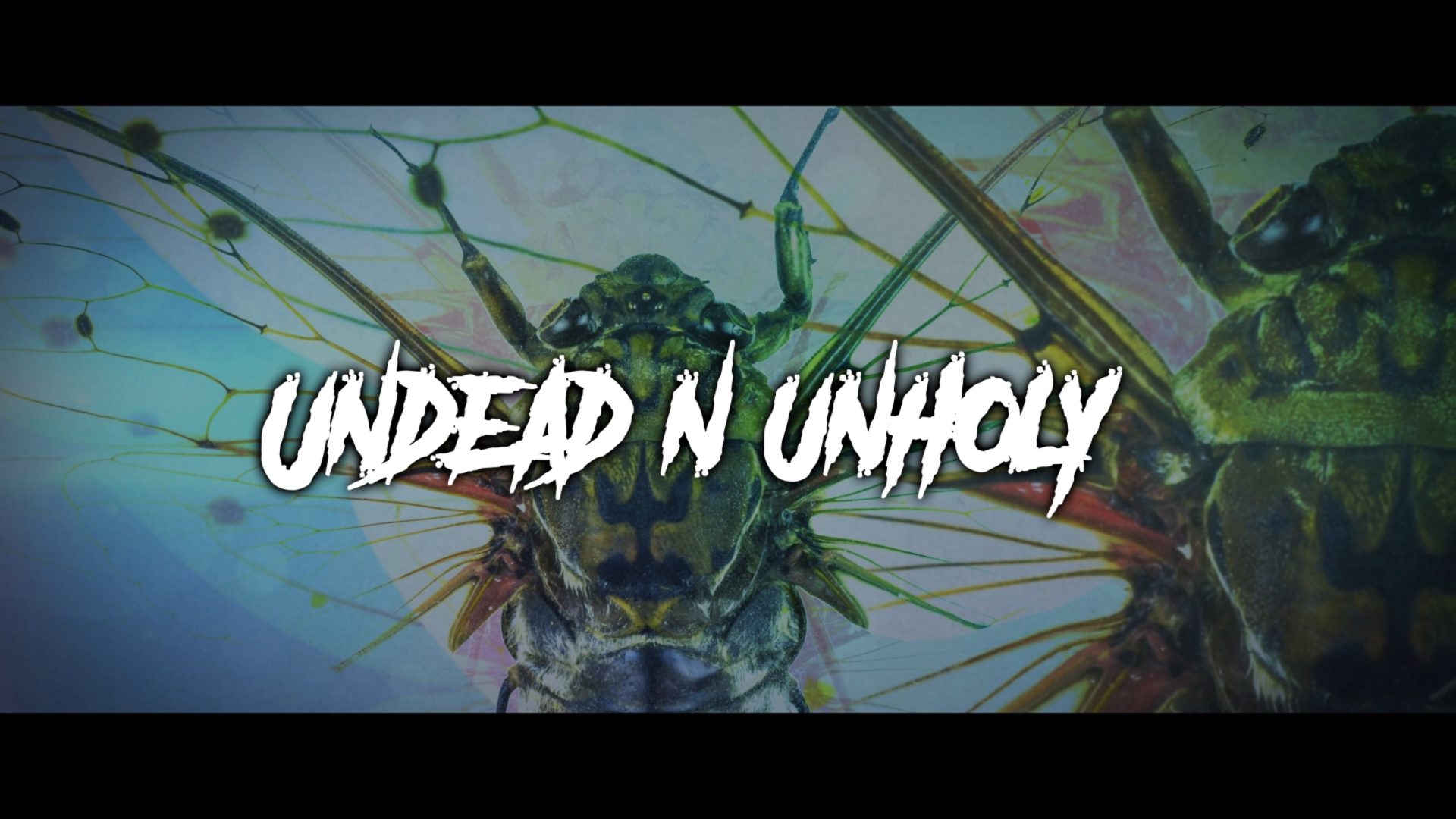 Cicada – Undead & Unholy (Lyric Video)